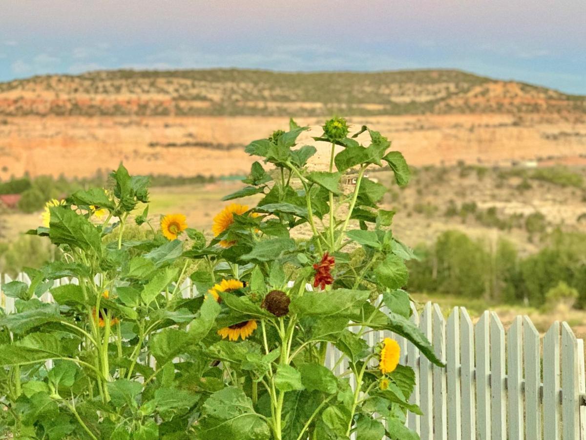 Annie'S Place Bed & Breakfast Boulder Town Bagian luar foto